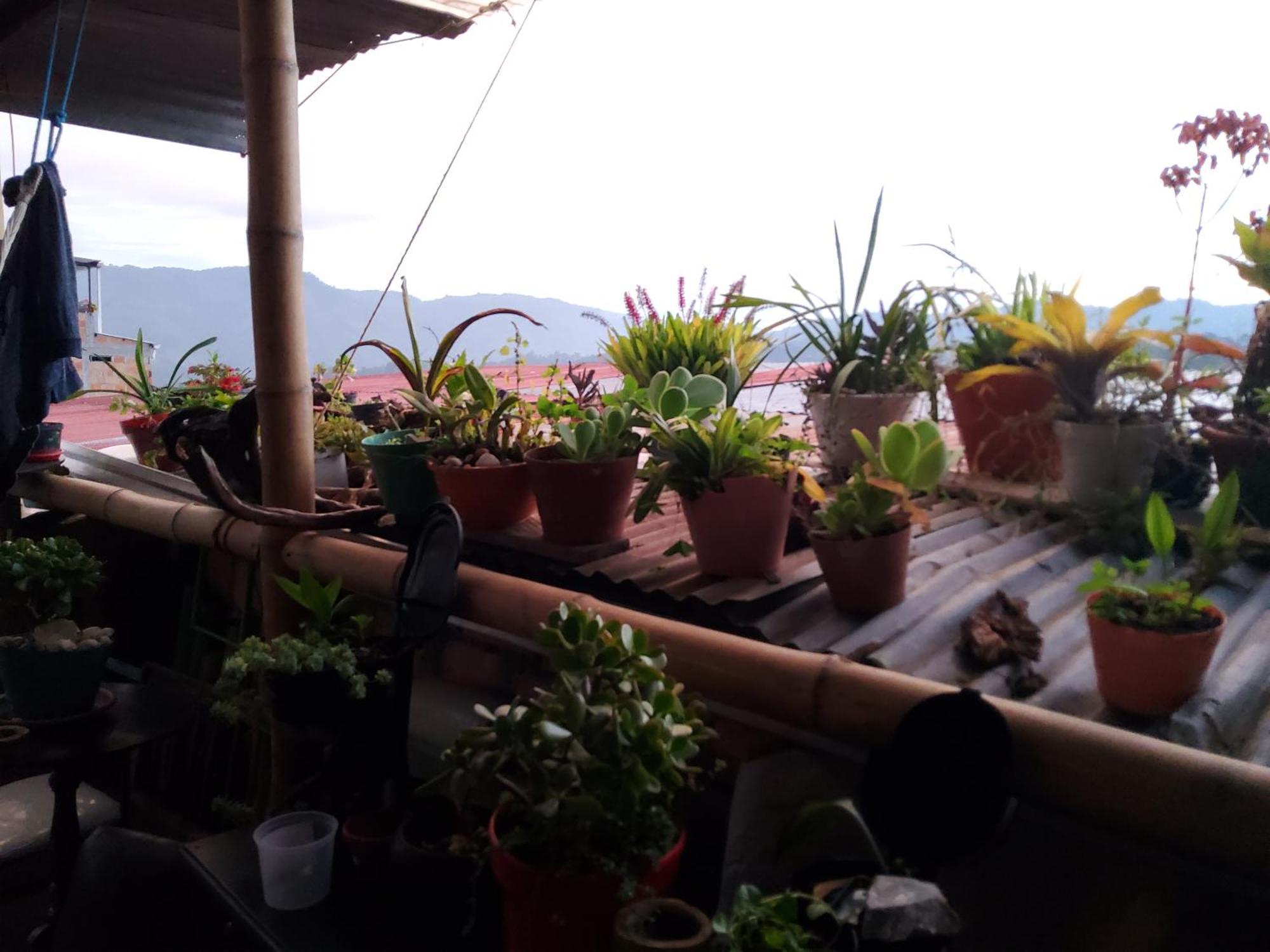 Hostal Musica Y Arte San Agustín Buitenkant foto