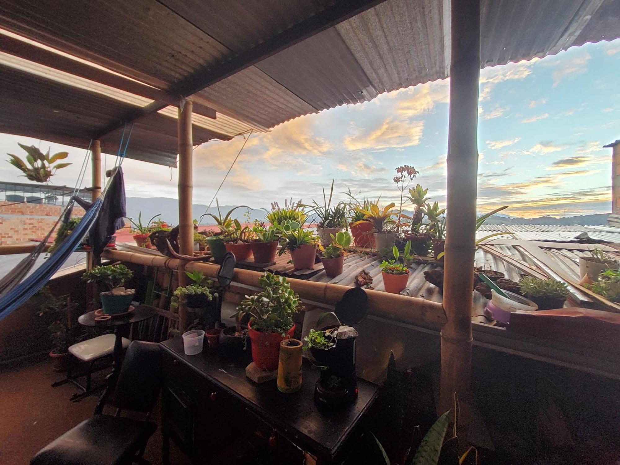 Hostal Musica Y Arte San Agustín Buitenkant foto