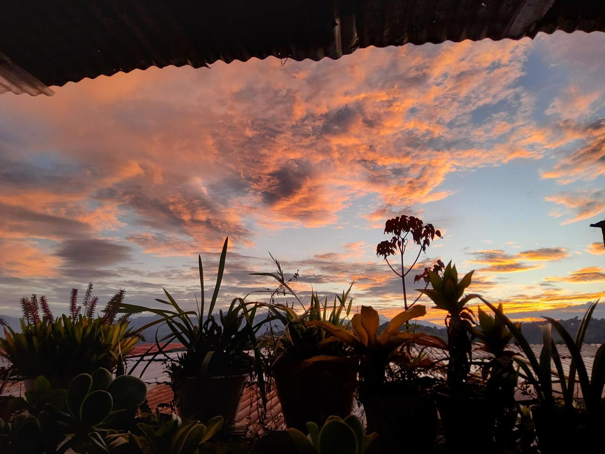 Hostal Musica Y Arte San Agustín Buitenkant foto