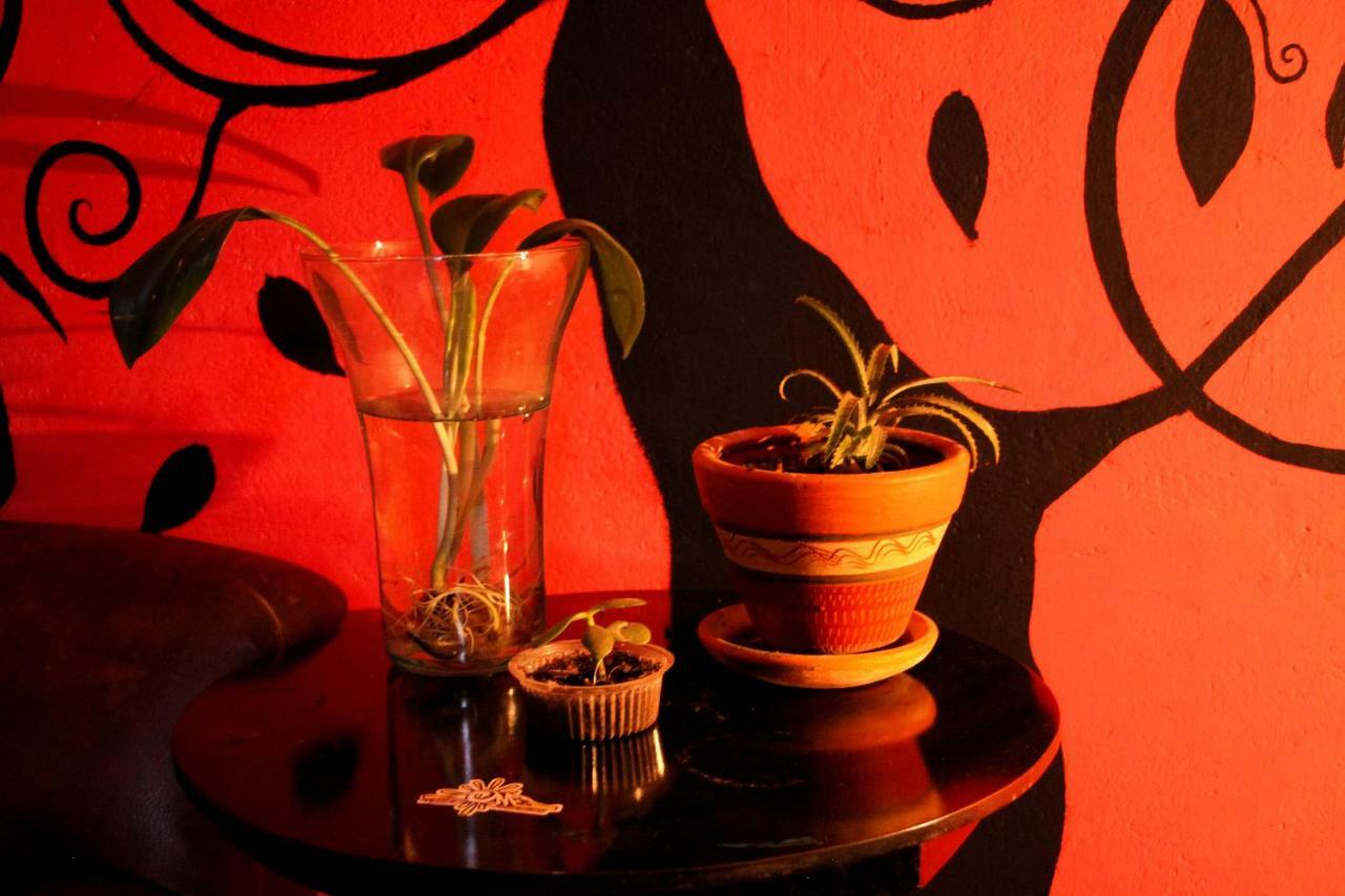 Hostal Musica Y Arte San Agustín Buitenkant foto